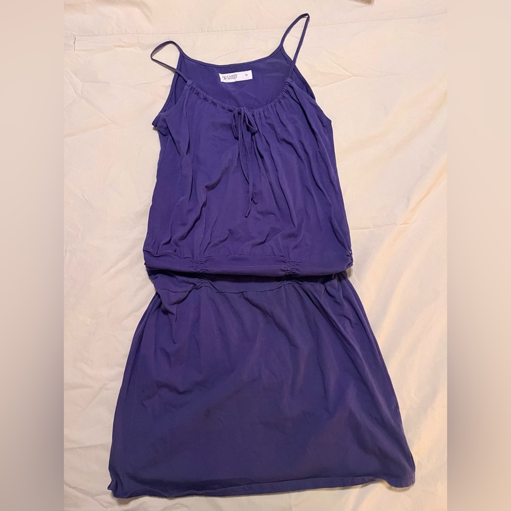 Carve Designs purple dress size Med